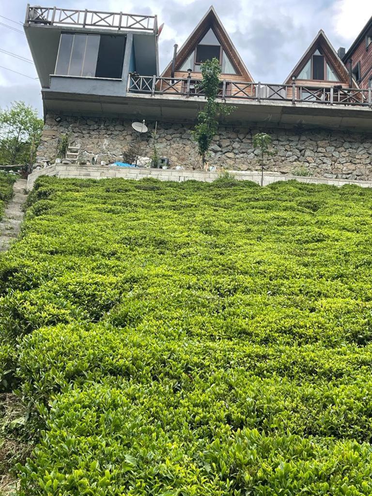 Purkinora Bungalov Camlihemsin Exterior photo