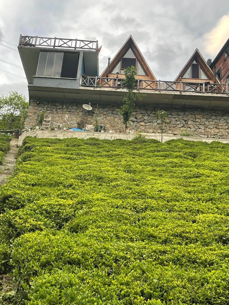 Purkinora Bungalov Camlihemsin Exterior photo